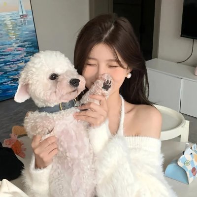 老友记第九季